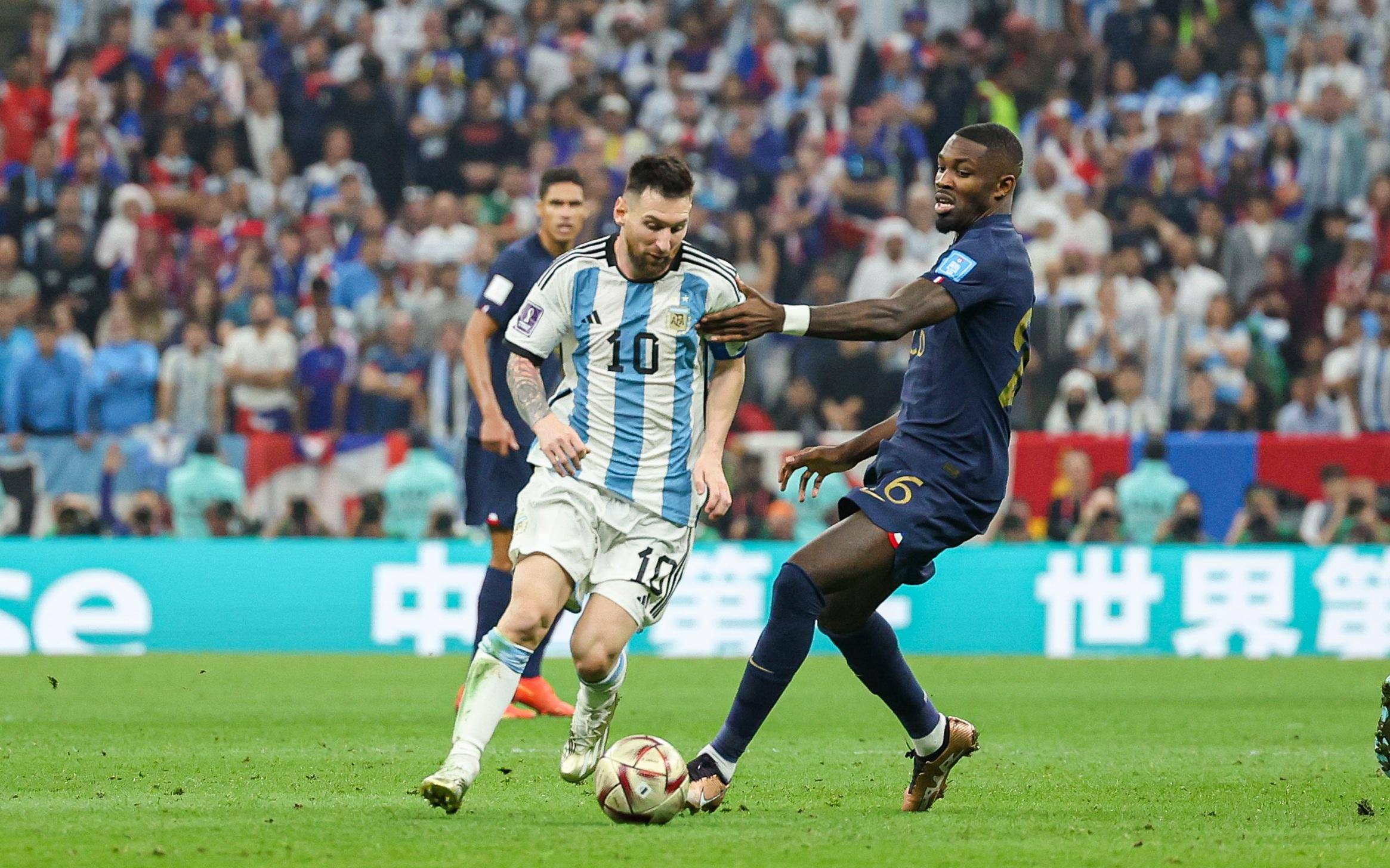 坛一颗冉冉 坛一颗冉冉