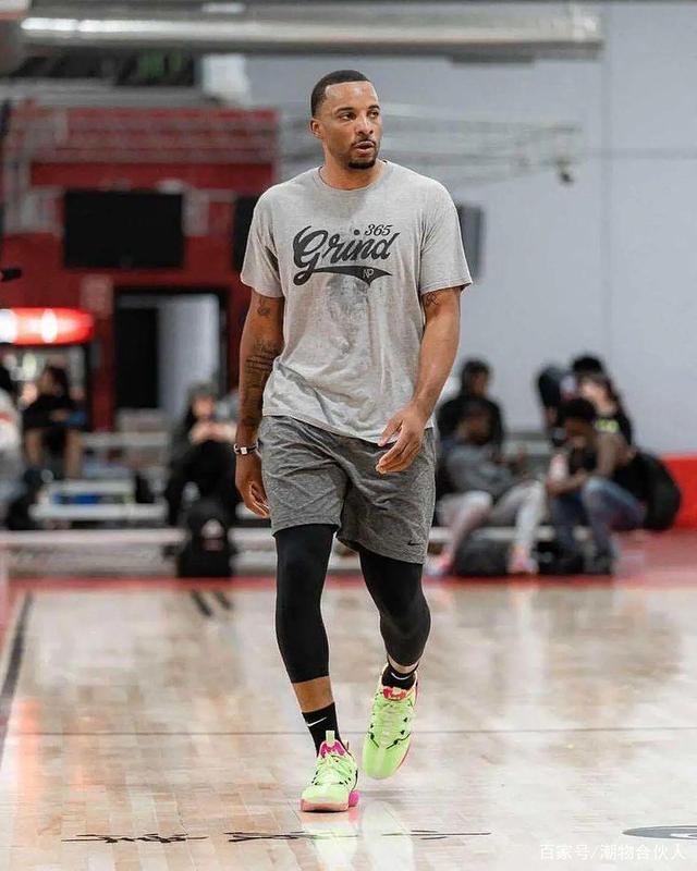 双翼卫体系 双翼卫体系